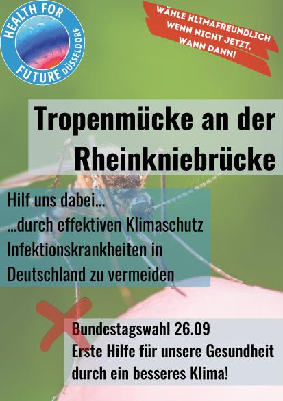 Poster Tropenmücke